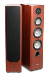 Editor S Choice Best Floorstanding Speakers Under 1000 Audioreview